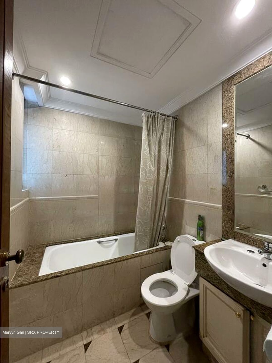 Valley Park (D10), Condominium #458670151